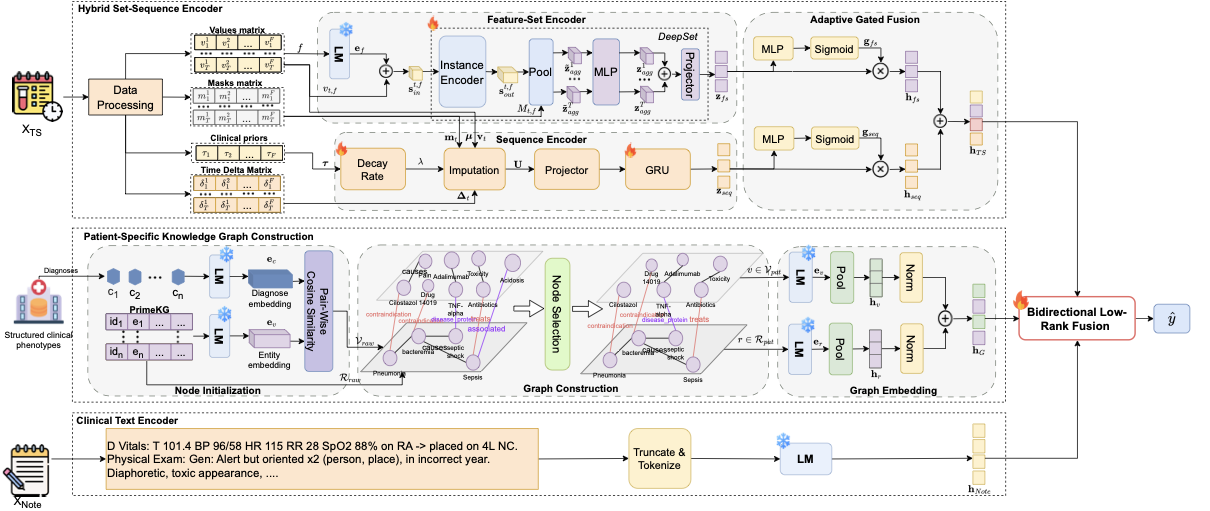 PIKE: A Multimodal Framework for Short-Sequence EHR Prediction via Physiology-Informed Temporal Modeling and Knowledge Graphs